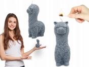 Powiększ